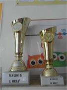 SAM_5984