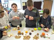 IMG_20221110_100628