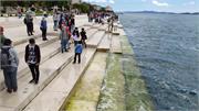 IMG_20190520_133844